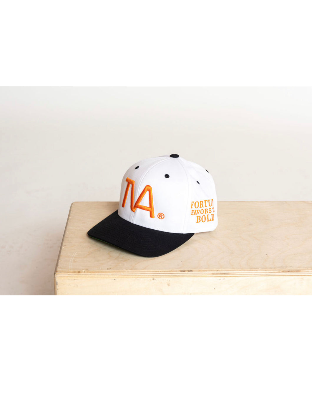 TVA™ Nasa LOGO 5 Panel Mid Profile Cap